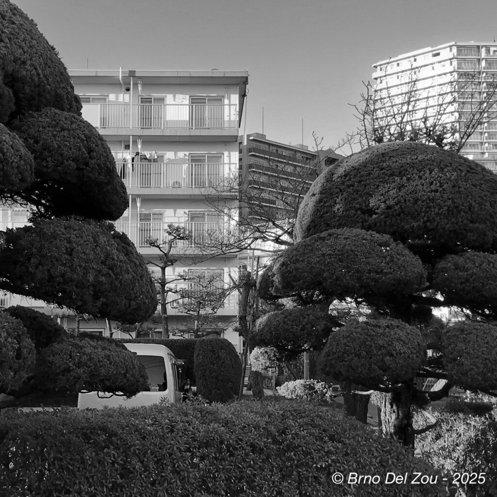 tokyo-Chiba-10-1024x1024
