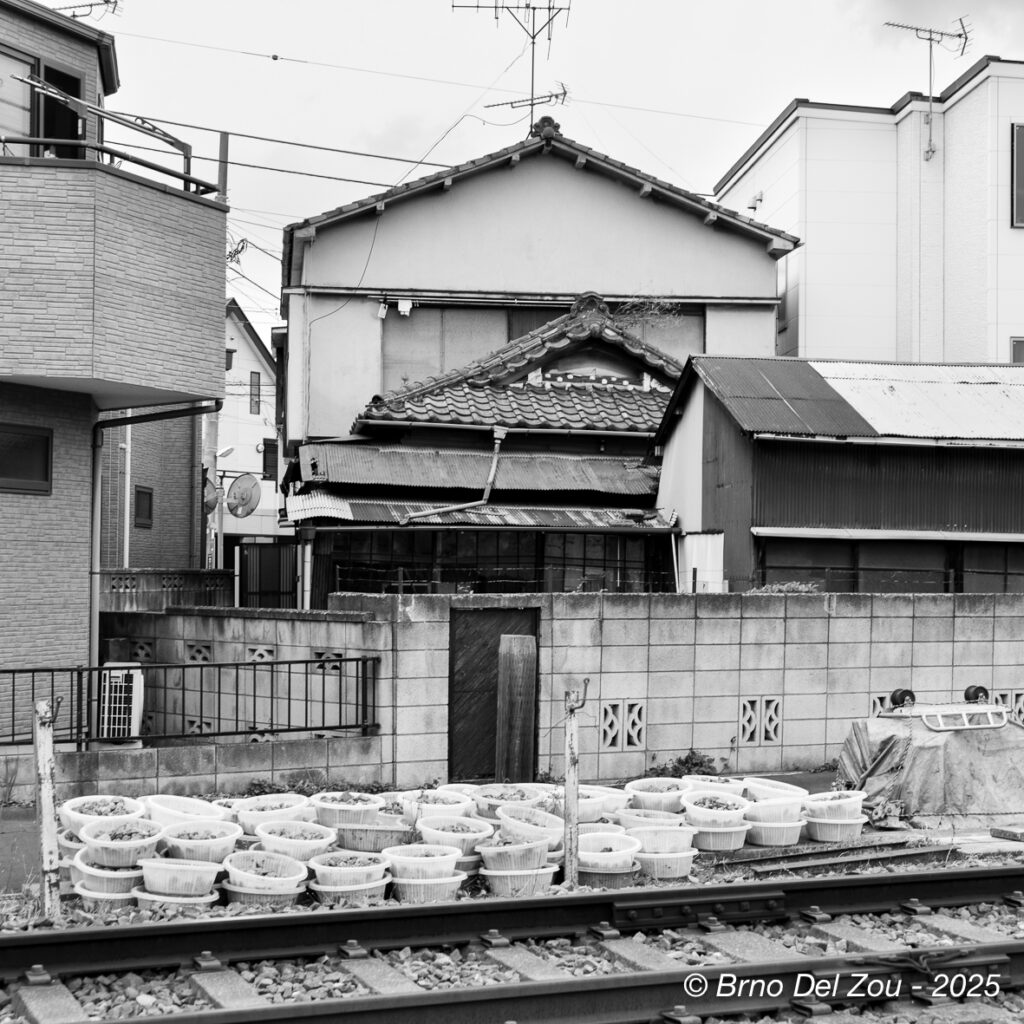 tokyo-Chiba-102-1024x1024