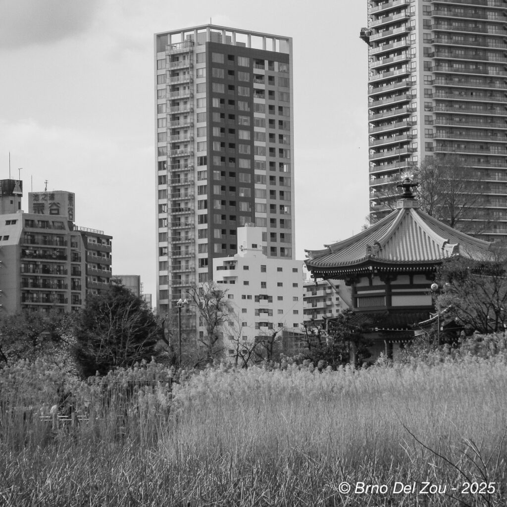tokyo-Chiba-2-1024x1024