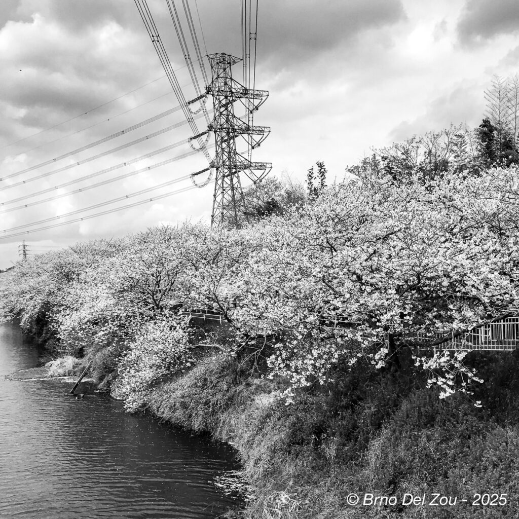 tokyo-Chiba-25-1024x1024