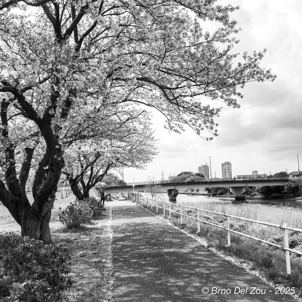 tokyo-Chiba-26-1024x1024