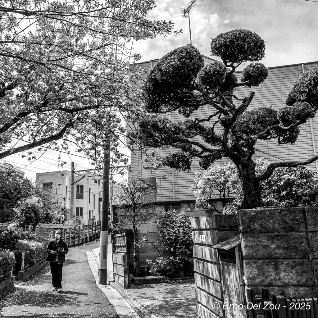 tokyo-Chiba-28-1024x1024