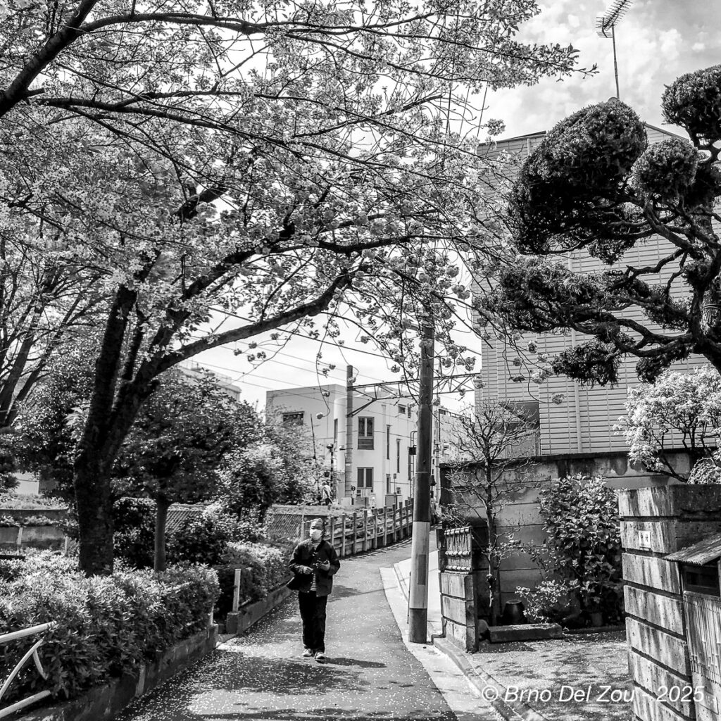 tokyo-Chiba-29-1024x1024