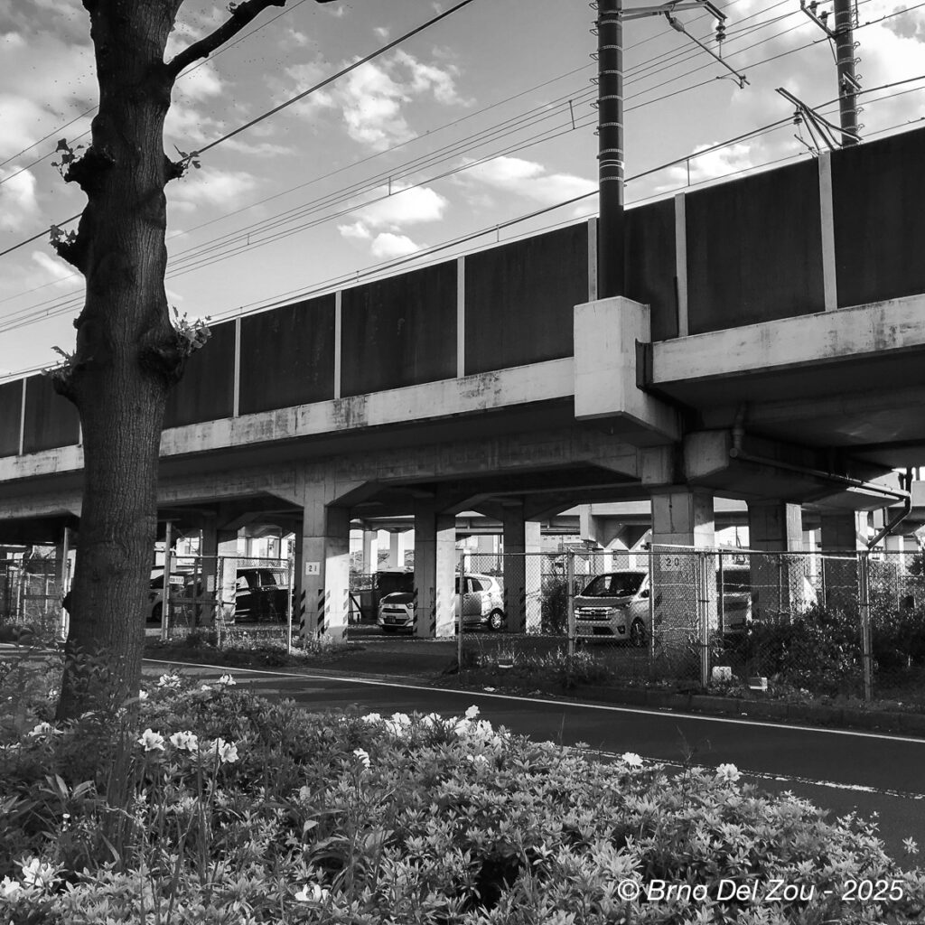 tokyo-Chiba-42-1024x1024
