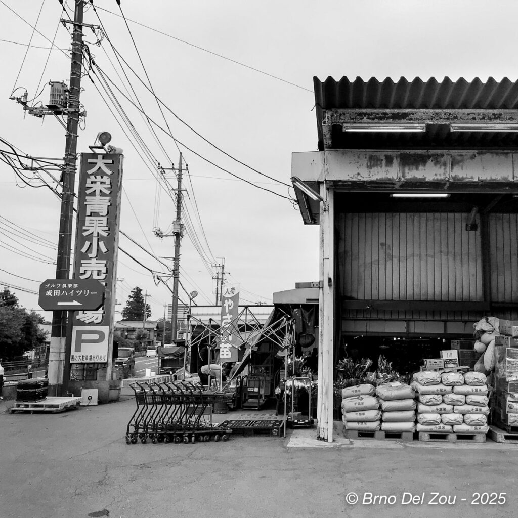 tokyo-Chiba-48-1024x1024