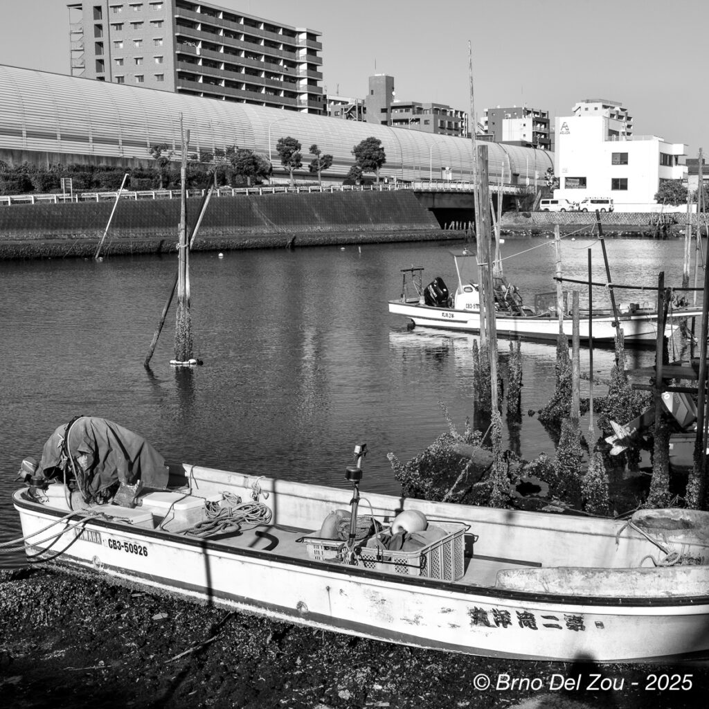 tokyo-Chiba-55-1024x1024