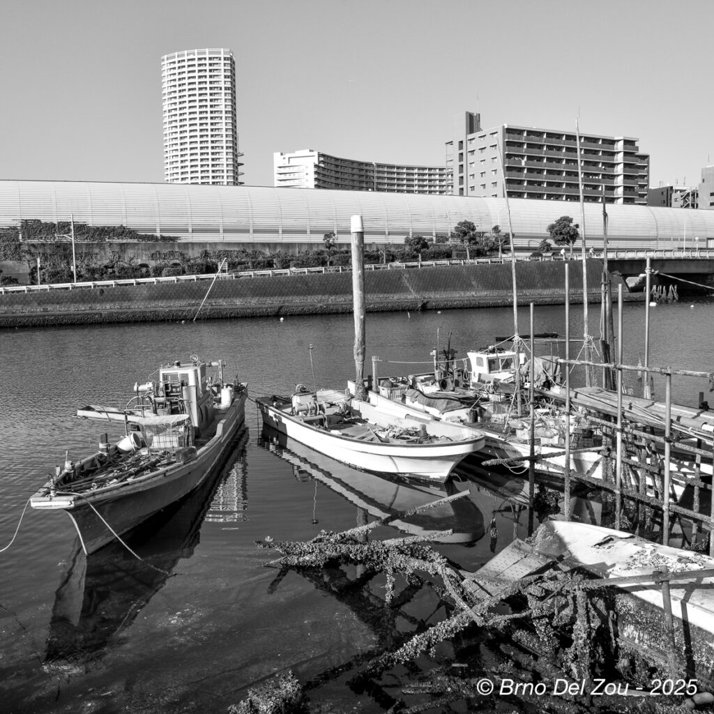 tokyo-Chiba-56-1024x1024