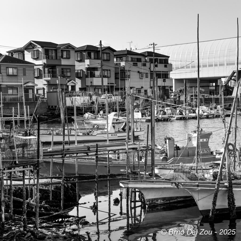 tokyo-Chiba-57-1024x1024