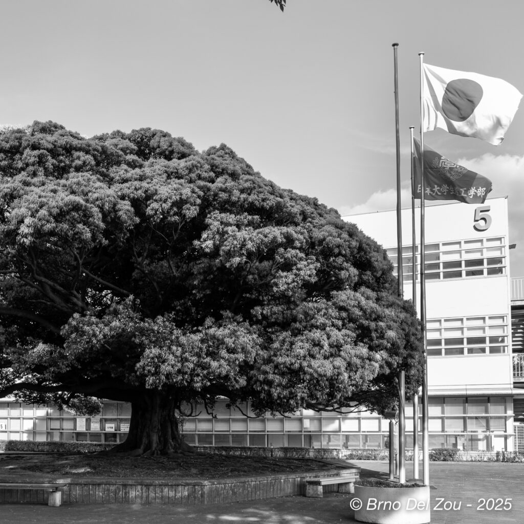 tokyo-Chiba-61-1024x1024