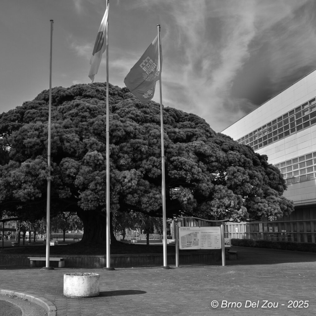 tokyo-Chiba-64-1024x1024