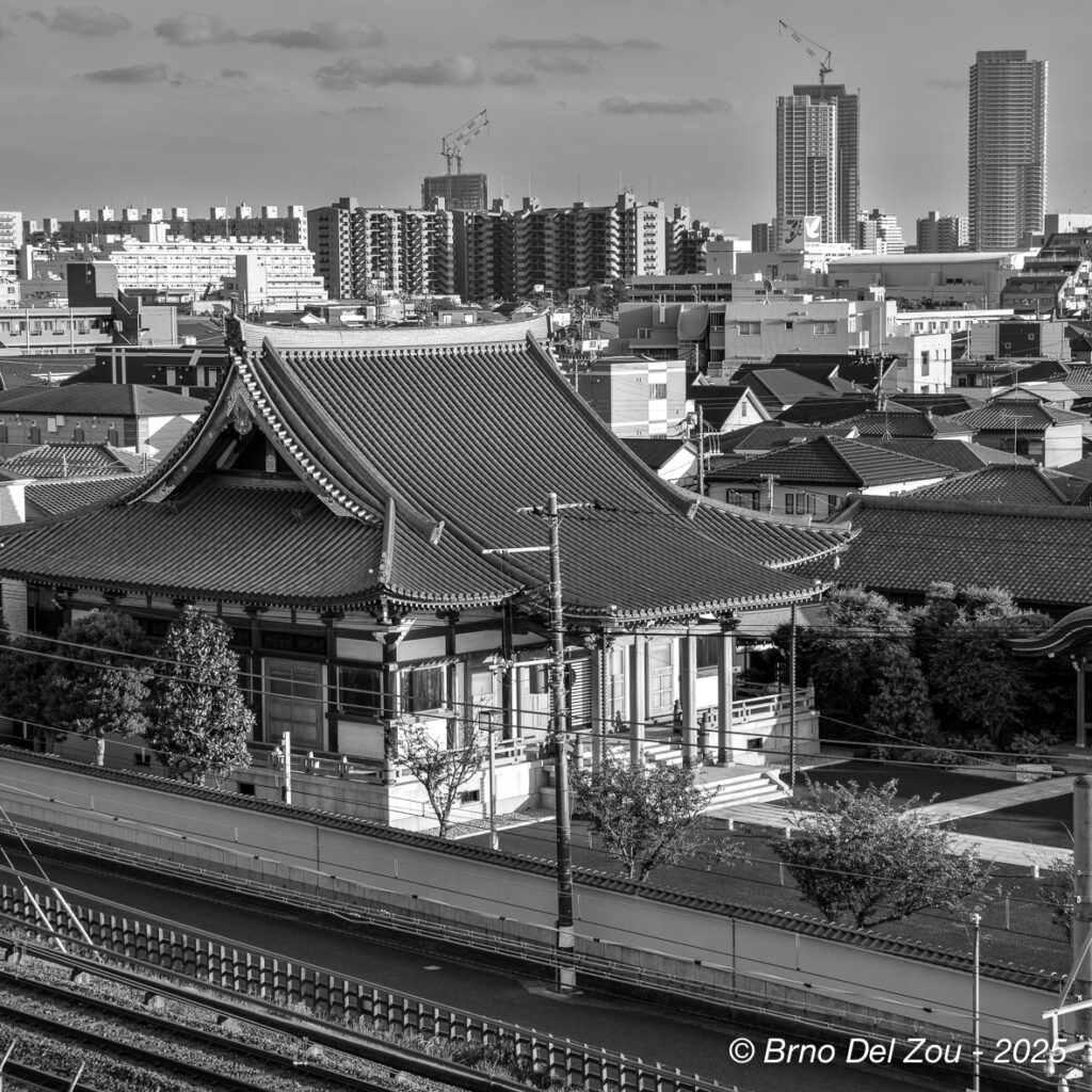 tokyo-Chiba-69-1024x1024