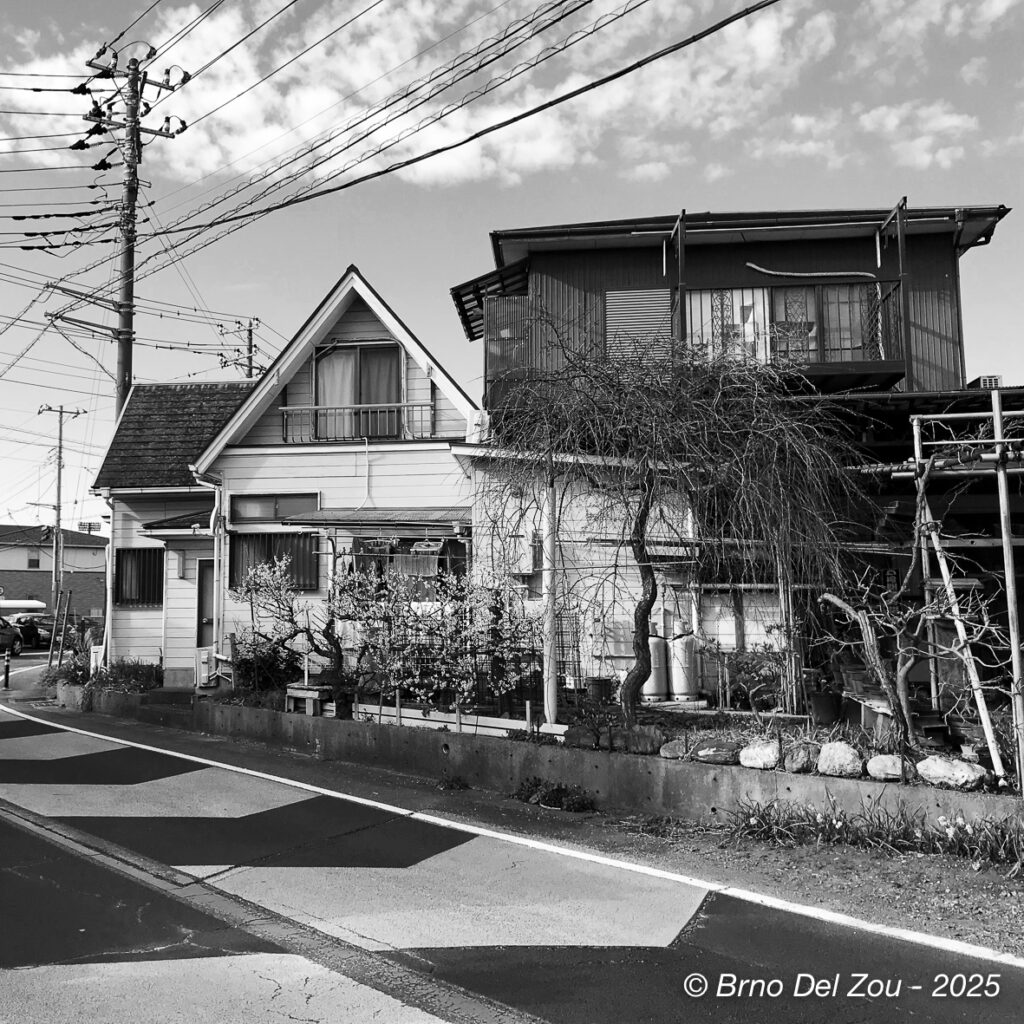 tokyo-Chiba-7-1024x1024