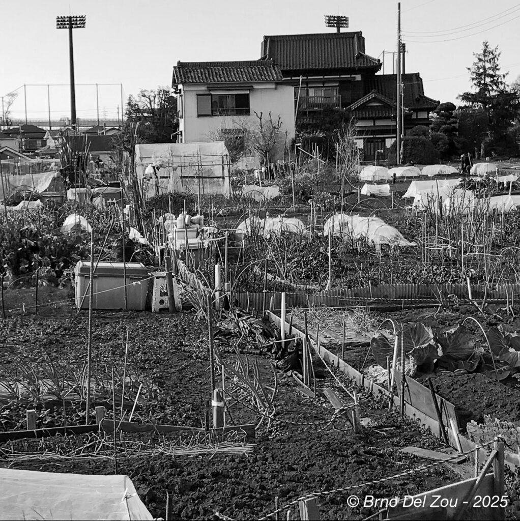 tokyo-Chiba-8-1022x1024