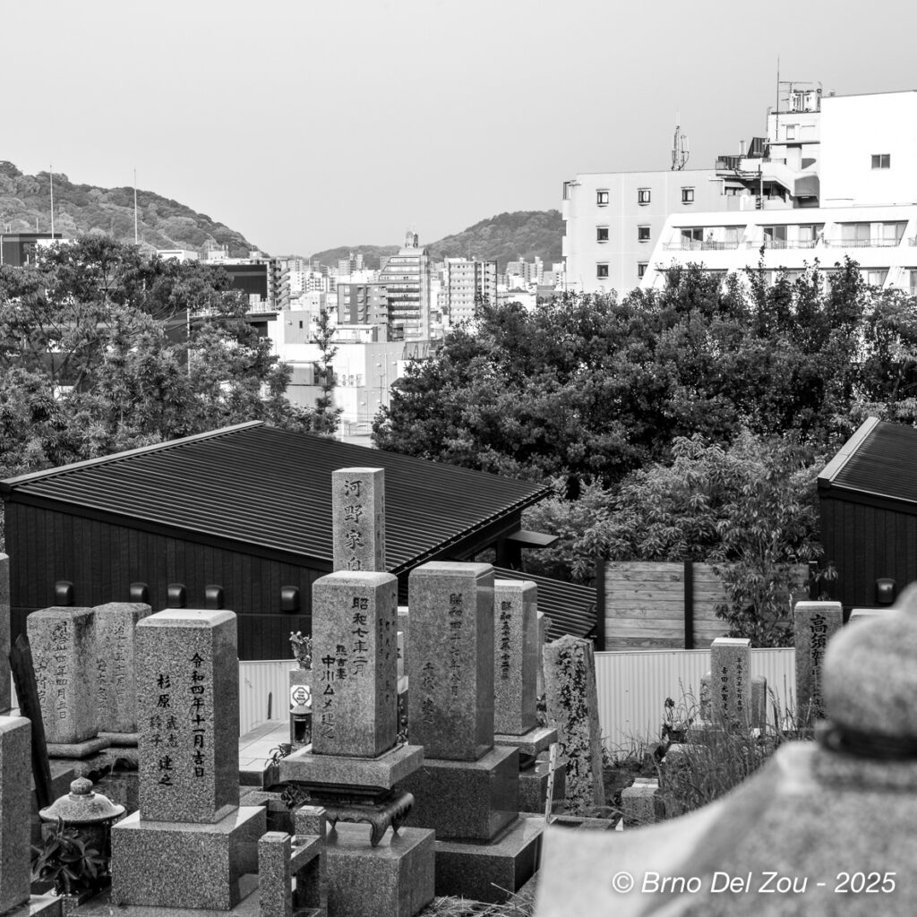 tokyo-Chiba-81-1024x1024