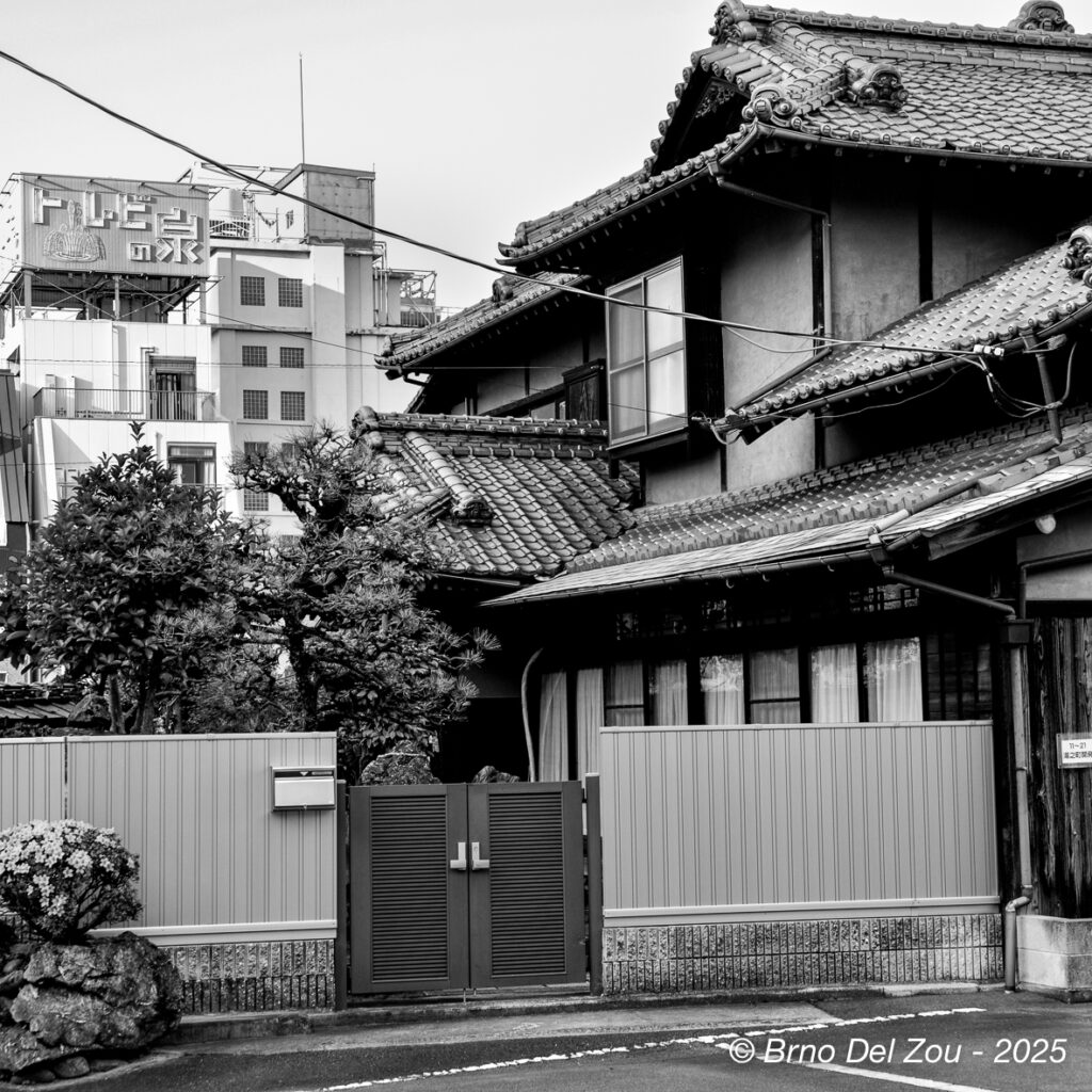 tokyo-Chiba-84-1024x1024
